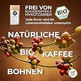 Premium Bio Kaffee preisgekrönt von 360° rundum ehrlich | Köstlich, sehr säurearm und bekömmlich | Honduras Hochland Arabica fair gehandelt | Öko-Verpackung 250g - 6